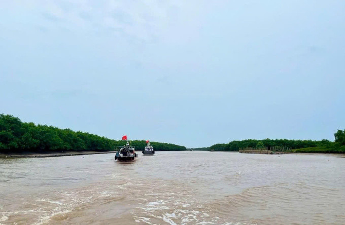 Bên trong khu bảo tồn. Ảnh: Nguyễn Hoài