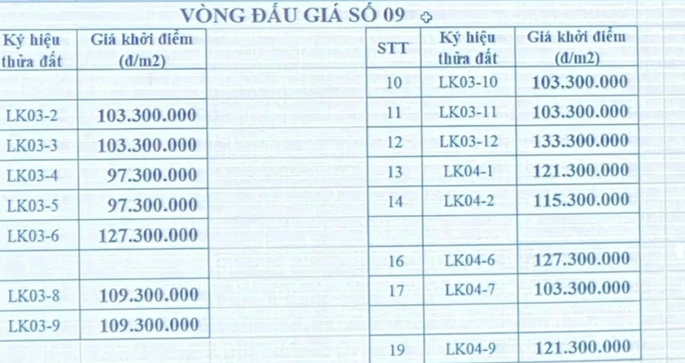 Giá đất gây sốc, chuyên gia lo ngại về tính bền vững của thị trường bất động sản - ảnh 1