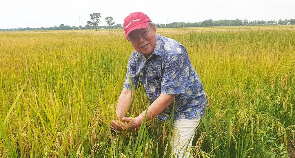 Ông ‘tiến sĩ lúa’ và chuyện cuốn vở chép tay nguyên vẹn cả chữ cùng hình