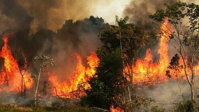 Những đám cháy rừng đe dọa tính mạng con người, gây thiệt hại lớn về tài sản. Ảnh: Internet