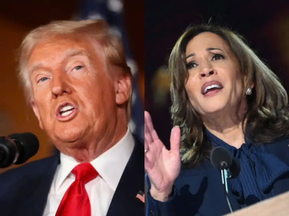 Ông Donald Trump khẳng định ‘không cần chuẩn bị’ cho màn tranh luận với bà Kamala Harris - ảnh 1