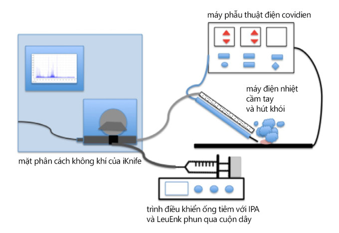 Sơ đồ thiết lập thiết bị iKnife. Ảnh: Cancer News