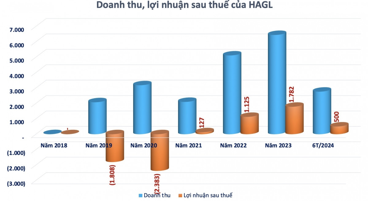 Kiểm toán nghi ngờ khả năng hoạt động liên tục của HAGL (HAG)