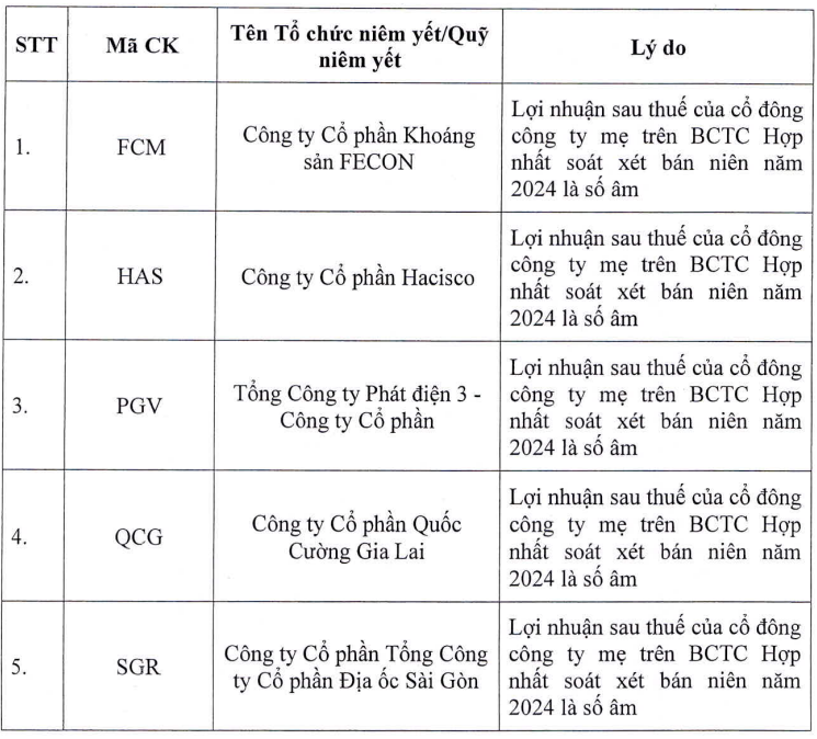 Đối thủ của VinFast, Quốc Cường Gia Lai , Saigonres và 92 công ty sàn HoSE bị cắt margin