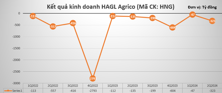 Lỗ lũy kế gần 8.500 tỷ đồng, HAGL Agrico (HNG) bị kiểm toán nghi ngờ khả năng hoạt động liên tục