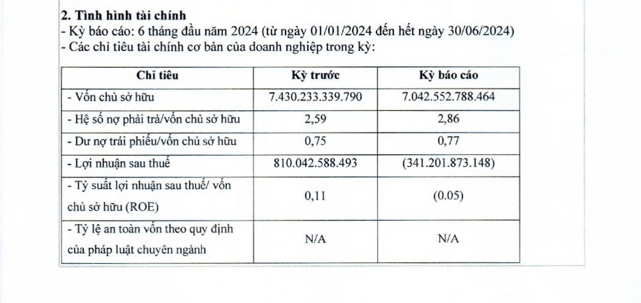 Công ty thành viên Tập đoàn BIM Group lỗ hơn 300 tỷ đồng trong nửa đầu năm 2024