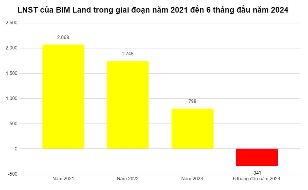 Công ty thành viên Tập đoàn BIM Group lỗ hơn 300 tỷ đồng trong nửa đầu năm 2024