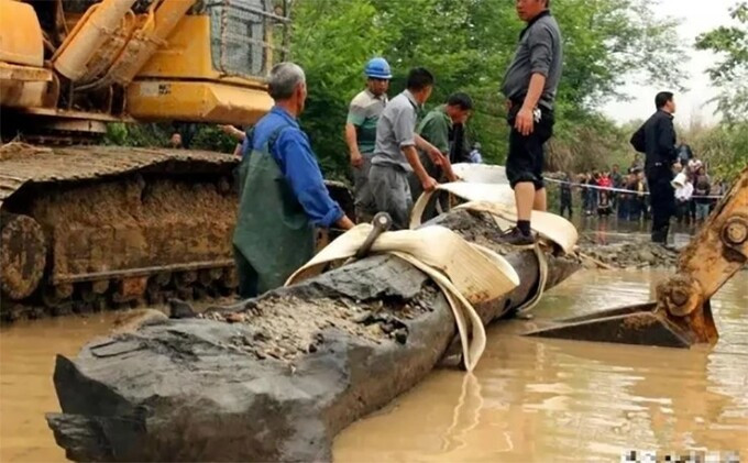 Hóa ra, khúc gỗ mà lão nông này phát hiện lại là loại gỗ vô cùng quý hiếm, có giá trị lên tới cả nghìn tỷ đồng. Ảnh: Internet