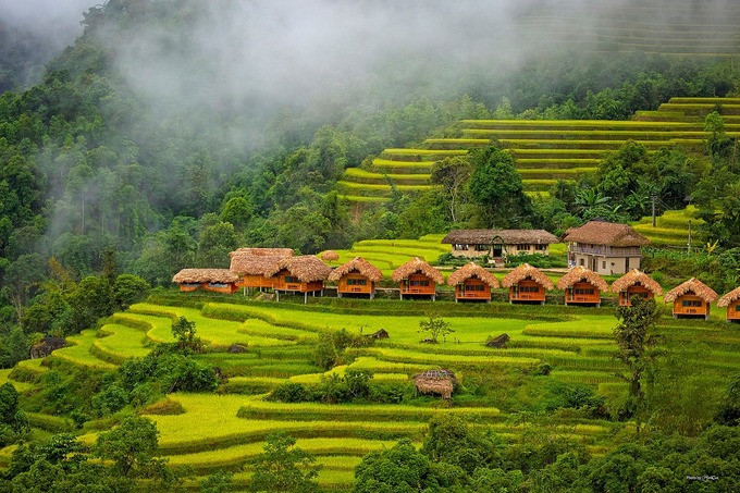 Hoàng Su Phì, Hà Giang. Ảnh: Hoang Su Phi Lodge