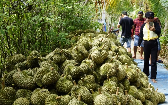 Loại quả giúp Việt Nam bỏ túi tỷ đô, sẵn sàng soán ngôi vương của Thái Lan