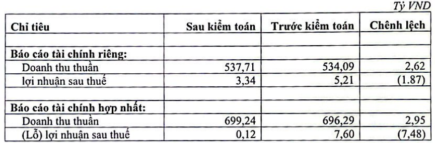 Đối tác của Vingroup (VIC) bất ngờ ‘bốc hơi’ hơn 98% lợi nhuận sau kiểm toán