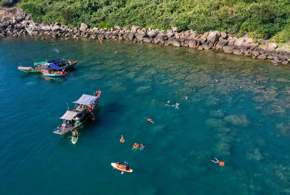 Phát hiện hòn đảo hoang sơ rộng chỉ 1,5km2 được mệnh danh 'mắt thần' miền Trung, nằm ngay dưới chân đèo đẹp nhất cả nước - ảnh 3