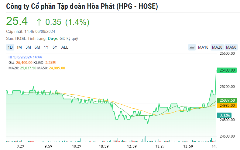 Hòa Phát 'bốc hơi' 1,26 tỷ USD vốn hóa, tài sản của Chủ tịch Trần Đình Long còn lại những gì?