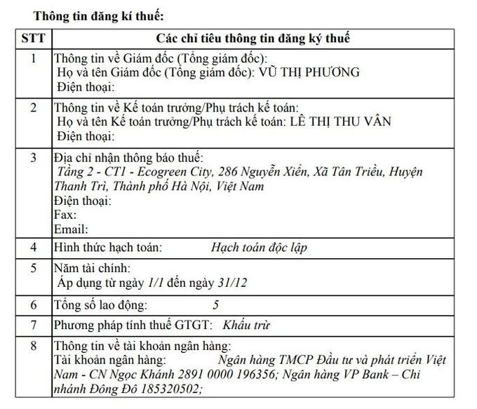 Tổng số lao động theo đăng ký của NewstarLand chỉ vỏn vẹn là 5 người. Ảnh Tạp chí Đầu tư Tài chính - VietnamFinance