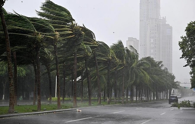 EVN: Hàng triệu hộ dân phía Bắc bị mất điện do bão Yagi