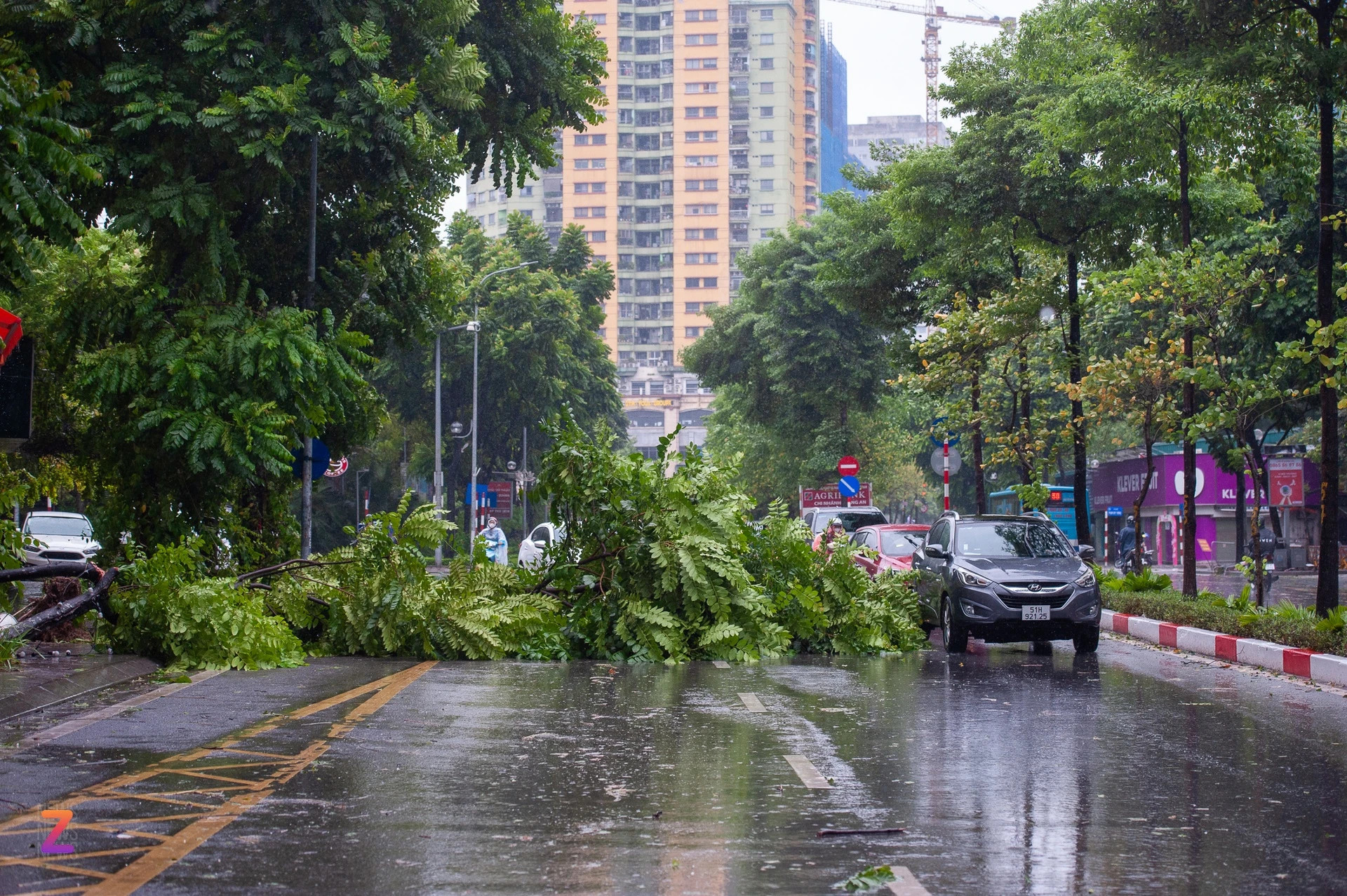 Cập nhật: Siêu bão Yagi quần thảo đất liền, Hà Nội ghi nhận thiệt hại - Ảnh 3