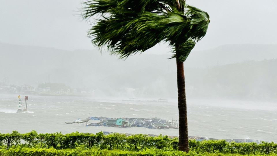 Bè nuôi trồng thủy sản của người dân bị sóng, gió đánh trôi dạt tại cầu 1 Vân Đồn.