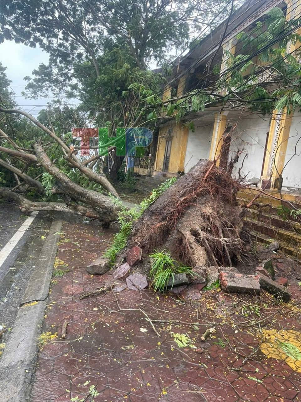 Bão quần thảo ở Hải Phòng.