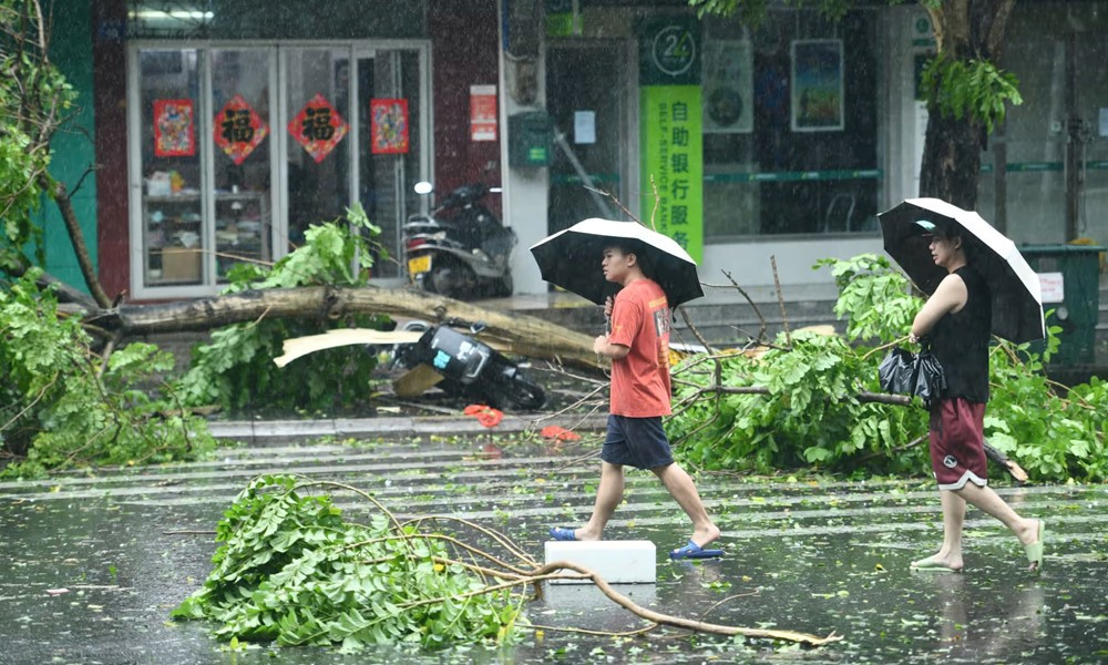 Siêu bão Yagi khiến đảo Hải Nam tê liệt, gần 1 triệu người Trung Quốc phải sơ tán khẩn cấp - ảnh 1