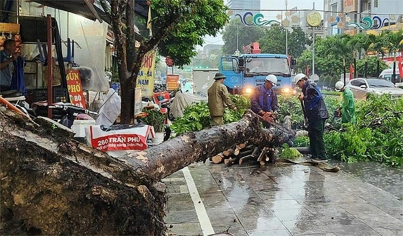 Điểm danh các ngành, doanh nghiệp có thể hưởng lợi từ siêu bão Yagi