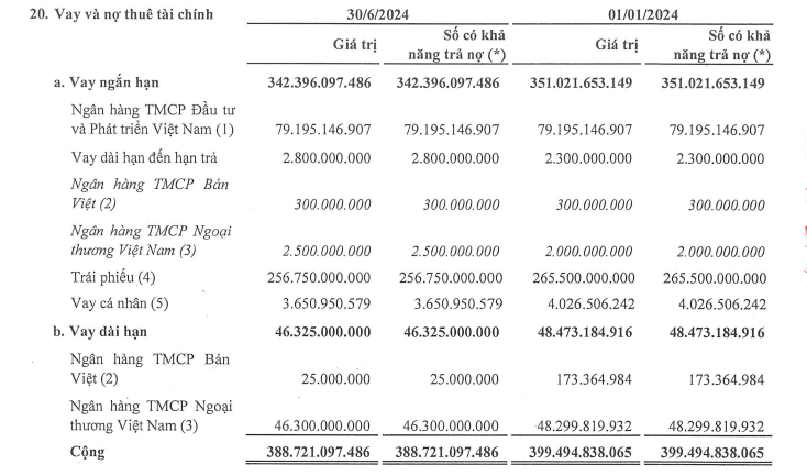 Danh Khôi (NRC) nợ trái phiếu quá hạn, kiểm toán nghi ngờ khả năng hoạt động liên tục