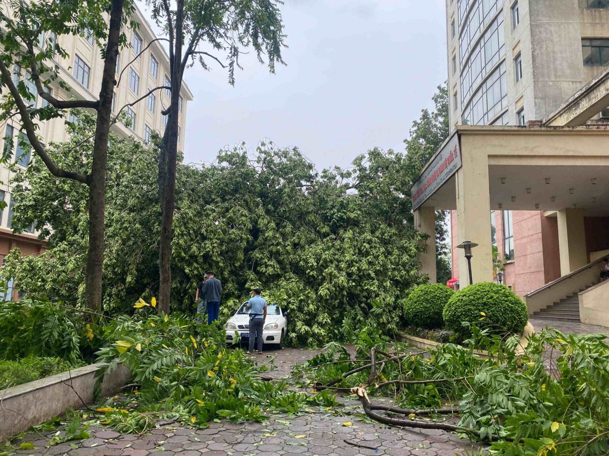 Chậm nhất 12/9, các doanh nghiệp bảo hiểm phải báo cáo và bồi thường thiệt hại do bão Yagi