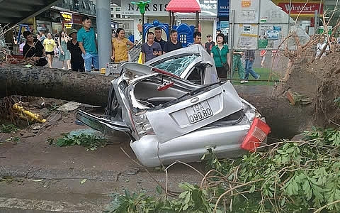 Bảo hiểm Quân Đội và Bảo Việt cam kết bồi thường nhanh chóng sau bão Yagi