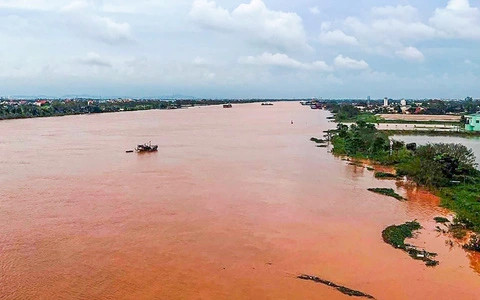 Một doanh nghiệp hiến hơn 10.000m3 đất, huy động 10 ô tô, 4 máy xúc, 2 máy gạt và cử hơn 40 công nhân hỗ trợ địa phương đắp đê chống lũ