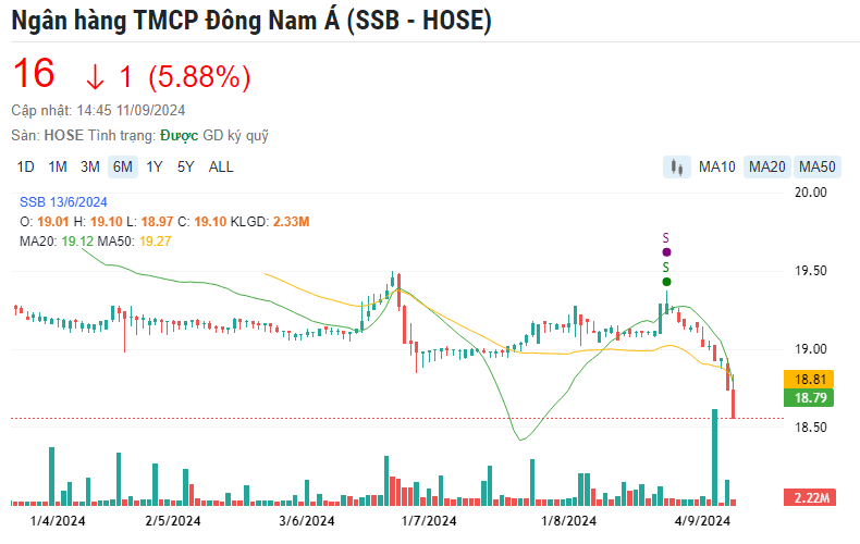 SSB giảm mạnh, tài sản của gia đình Phó Chủ tịch SeABank 'bốc hơi' 1.000 tỷ đồng