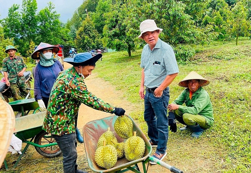 6 năm trước phá chanh leo trồng sầu riêng, bầu Đức hiện nói tương lai xa hơn của HAGL