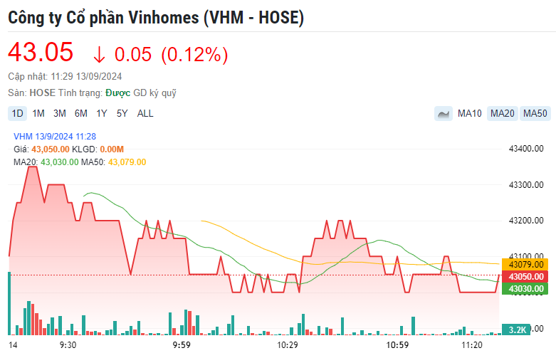 Ước tính, doanh thu năm 2024 của Vinhomes (VHM) đạt 4 tỷ USD