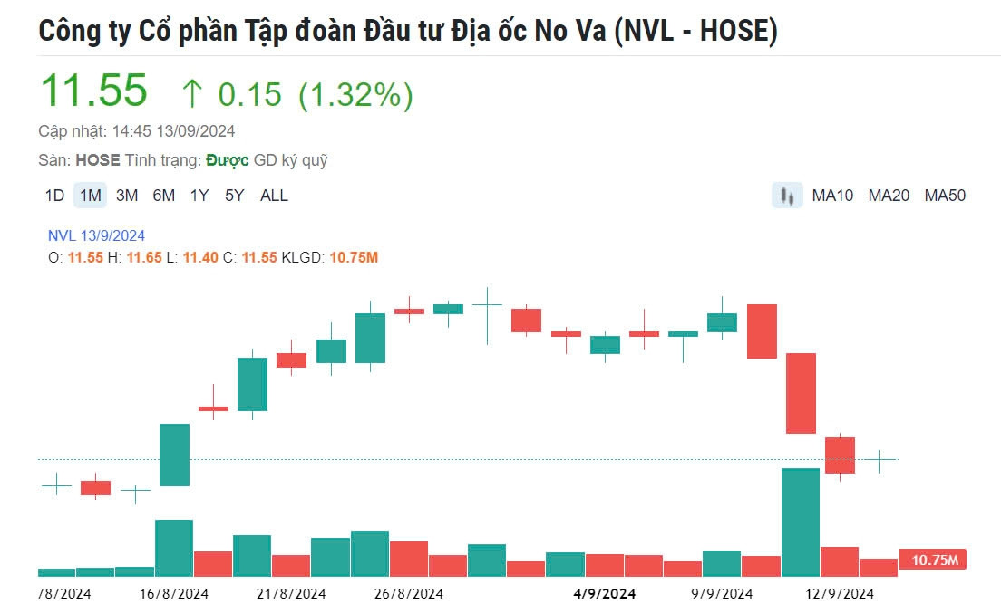 Công ty liên quan đến ông Bùi Thành Nhơn kịp bán 3 triệu cổ phiếu NVL trước ngày bị cắt margin