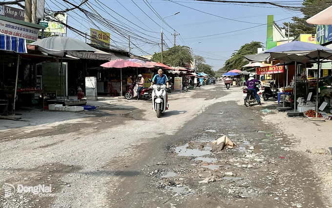 Tuyến đường Nguyễn Thái Học hiện trong tình trạng xuống cấp nghiêm trọng. Ảnh: Báo Đồng Nai