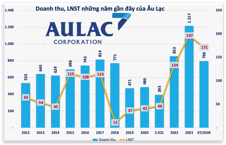 Chi 4.000 tỷ đồng gom cổ phiếu ACB, hệ sinh thái của nữ doanh nhân Ngô Thu Thúy kinh doanh ra sao?