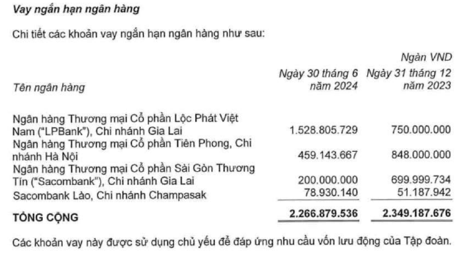 Gần 33.000ha đất của HAGL đang được thế chấp tại ngân hàng