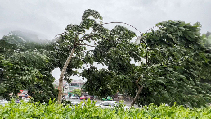 Số lượng bão đổ bộ vào đất liền từ giờ đến cuối năm có xu hướng tăng. Ảnh: Interner