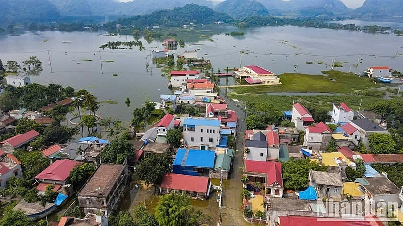 Bị thiệt hại do bão Yagi, người nộp thuế sẽ được miễn, giảm, gia hạn nhiều loại thuế