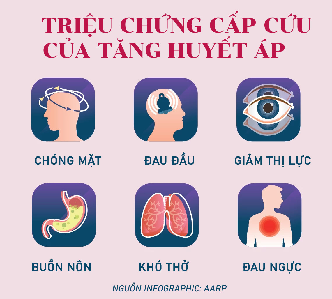 Info VNN Tang huyet ap.jpg