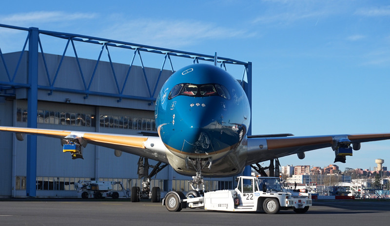 vietnam Airlines +. Lê Anh Dũng.jpg