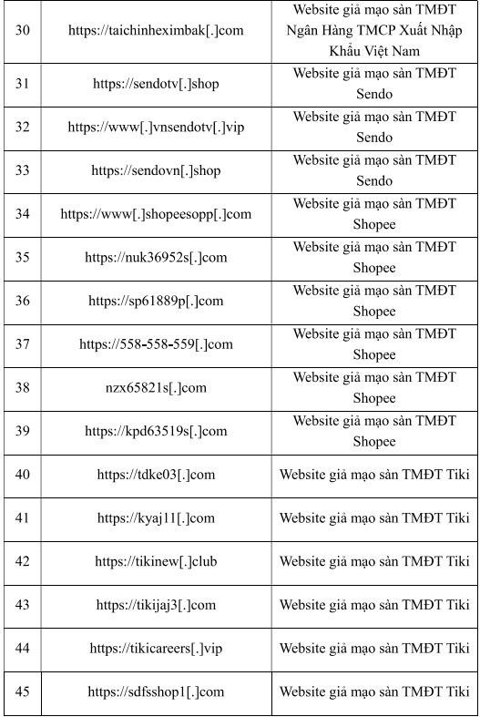 Các trang web thương mại điện tử thường bị giả mạo. Ảnh: Internet