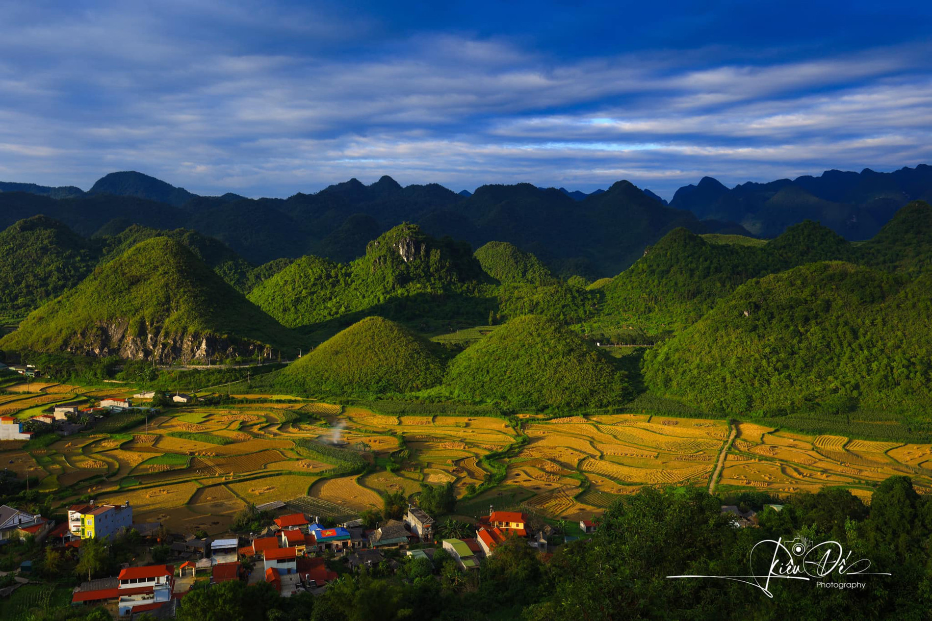 mua lua chin Ha Giang nui doi co Tien.jpg