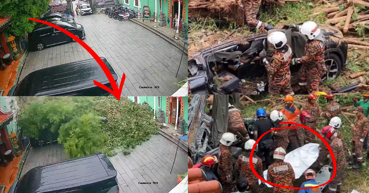 two dead tree fall car malaysia featured img.png