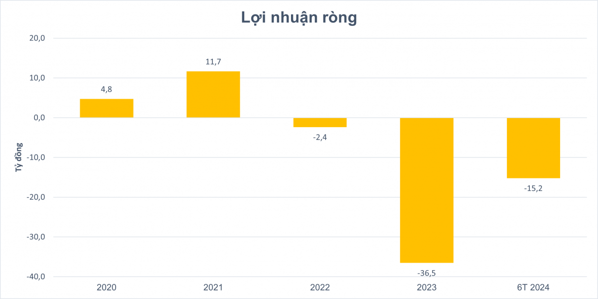 Công ty sợi tại Thái Bình lỗ 'chổng vó', muốn quay sang làm bất động sản vì cho rằng thị trường đã hết 'đứng hình'