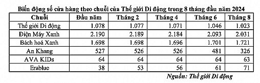 Liên tục mở mới cửa hàng, chuỗi Bách Hóa Xanh đang làm ăn ra sao?