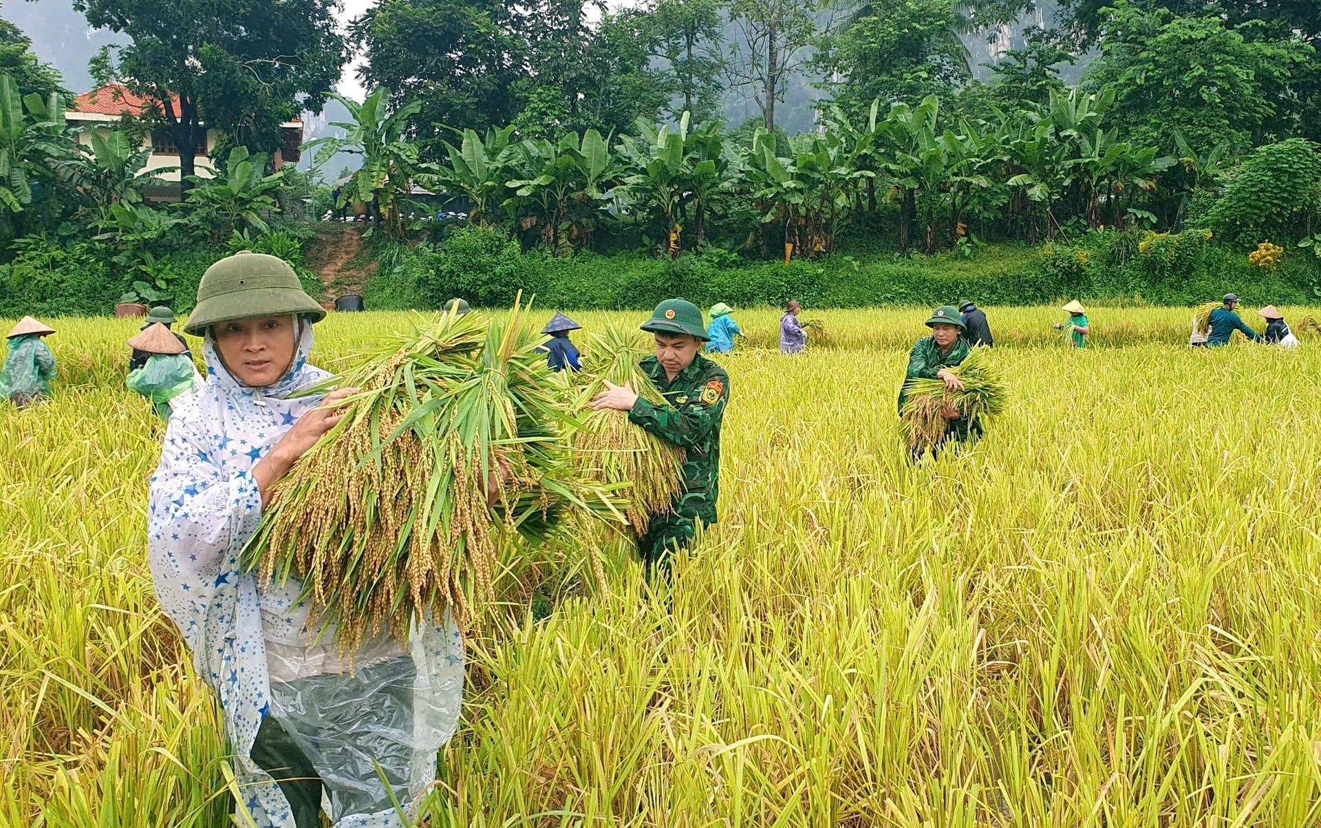 a8Ấm lòng hình ảnh chiến sĩ biên phòng .jpg