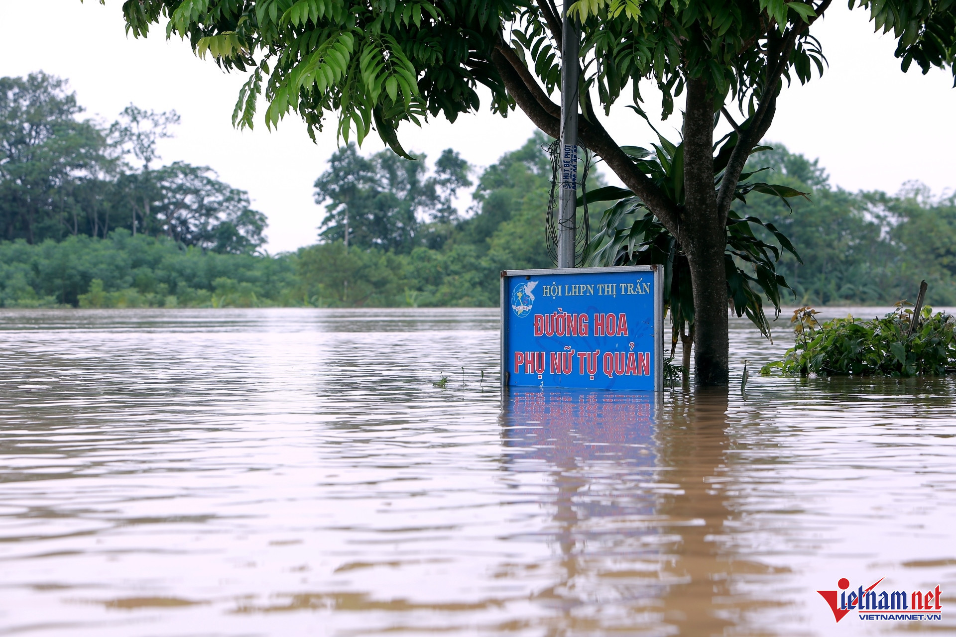 W-a5Hơn 700 ngôi nhà ngập trắng.jpg