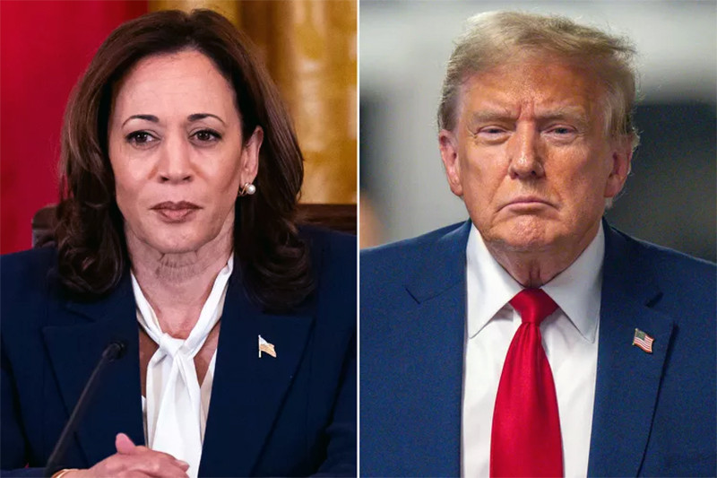 Kamala Harris Trump Bloomberg.jpg