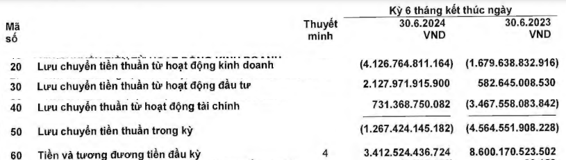 'Báo động' loạt chỉ số tài chính của Novaland (NVL) sau khoản lỗ 7.327 tỷ vừa công bố