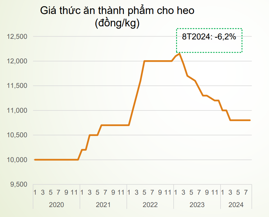 Khôi phục ngành chăn nuôi heo Việt Nam: Những bước đi hậu dịch tả và bão lũ