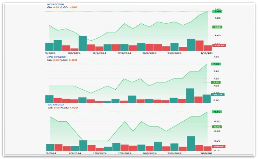 Bộ 3 cổ phiếu API, APS, IDJ lại dậy sóng, bức tranh tài chính các doanh nghiệp 'họ' APEC ra sao?